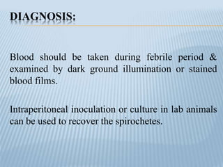DIAGNOSIS:
Blood should be taken during febrile period &
examined by dark ground illumination or stained
blood films.
Intraperitoneal inoculation or culture in lab animals
can be used to recover the spirochetes.
 