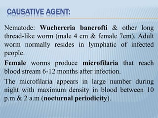 CAUSATIVE AGENT:
Nematode: Wuchereria bancrofti & other long
thread-like worm (male 4 cm & female 7cm). Adult
worm normally resides in lymphatic of infected
people.
Female worms produce microfilaria that reach
blood stream 6-12 months after infection.
The microfilaria appears in large number during
night with maximum density in blood between 10
p.m & 2 a.m (nocturnal periodicity).
 