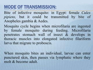 MODE OF TRANSMISSION:
Bite of infective mosquito: in Egypt: female Culex
pipiens, but it could be transmitted by bite of
Anopheles gambia & Aedes.
Mosquito cycle begins when microfilaria are ingested
by female mosquito during feeding. Microfilaria
penetrates stomach wall of insect & develops in
thoracic muscles into elongated infective filariform
larva that migrate to proboscis.
When mosquito bites an individual, larvae can enter
punctured skin, then passes via lymphatic where they
molt & become adult.
 