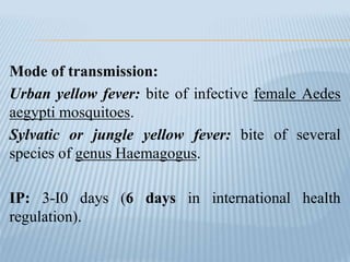 Mode of transmission:
Urban yellow fever: bite of infective female Aedes
aegypti mosquitoes.
Sylvatic or jungle yellow fever: bite of several
species of genus Haemagogus.
IP: 3-I0 days (6 days in international health
regulation).
 