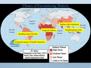 Tropical Africa
Southwestern Pacific
Forested areas of South America
Southeastern Asia
Indian sub-continent
 