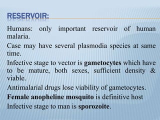 RESERVOIR:
Humans: only important reservoir of human
malaria.
Case may have several plasmodia species at same
time.
Infective stage to vector is gametocytes which have
to be mature, both sexes, sufficient density &
viable.
Antimalarial drugs lose viability of gametocytes.
Female anopheline mosquito is definitive host
Infective stage to man is sporozoite.
 