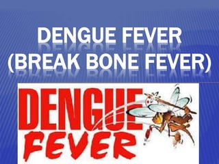 DENGUE FEVER
(BREAK BONE FEVER)
 