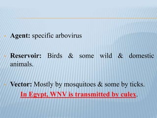 • Agent: specific arbovirus
• Reservoir: Birds & some wild & domestic
animals.
• Vector: Mostly by mosquitoes & some by ticks.
In Egypt, WNV is transmitted by culex.
 