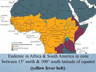 Endemic in Africa & South America in zone
between 15° north & 100° south latitude of equator
(yellow fever belt).
 