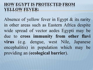 HOW EGYPT IS PROTECTED FROM
YELLOW FEVER:
Absence of yellow fever in Egypt & its rarity
in other areas such as Eastern Africa despite
wide spread of vector aedes Egypti may be
due to cross immunity from other flavi
virus (e.g. dengue, west Nile, Japanese
encephalitis) in population which may be
providing an (ecological barrier).
 