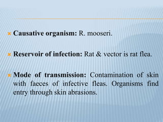  Causative organism: R. mooseri.
 Reservoir of infection: Rat & vector is rat flea.
 Mode of transmission: Contamination of skin
with faeces of infective fleas. Organisms find
entry through skin abrasions.
 