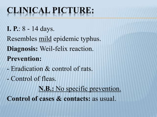 CLINICAL PICTURE:
I. P.: 8 - 14 days.
Resembles mild epidemic typhus.
Diagnosis: Weil-felix reaction.
Prevention:
- Eradication & control of rats.
- Control of fleas.
N.B.: No specific prevention.
Control of cases & contacts: as usual.
 
