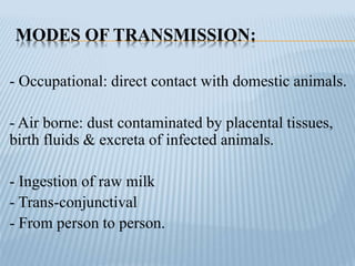 MODES OF TRANSMISSION:
- Occupational: direct contact with domestic animals.
- Air borne: dust contaminated by placental tissues,
birth fluids & excreta of infected animals.
- Ingestion of raw milk
- Trans-conjunctival
- From person to person.
 