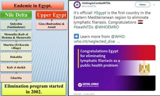 Elimination program started
in 2002.
Endemic in Egypt.
Qalyobia
(Sandanhour)
Menoufia (Kafr al
Hemma & Shenawaii)
Sharkia (El-Korain
village)
Dakahlia
Kafr el sheikh
Gharbia
Giza (Badrashin) &
Assuit
 