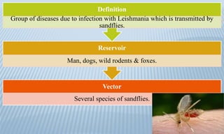 Vector
Several species of sandflies.
Reservoir
Man, dogs, wild rodents & foxes.
Definition
Group of diseases due to infection with Leishmania which is transmitted by
sandflies.
 