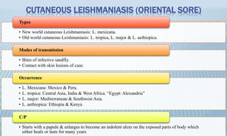 CUTANEOUS LEISHMANIASIS (ORIENTAL SORE)
• New world cutaneous Leishmaniasis: L. mexicana.
• Old world cutaneous Leishmaniasis: L. tropica, L. major & L. aethiopica.
Types
• Bites of infective sandfly.
• Contact with skin lesions of case.
Modes of transmission
• L. Mexicana: Mexico & Peru.
• L. tropica: Central Asia, India & West Africa. “Egypt: Alexandria”
• L. major: Mediterranean & Southwest Asia.
• L. aethiopica: Ethiopia & Kenya
Occurrence
• Starts with a papule & enlarges to become an indolent ulcer on the exposed parts of body which
either heals or lasts for many years
C/P
 