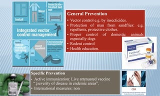 General Prevention
• Vector control e.g. by insecticides.
• Protection of man from sandflies: e.g.
repellents, protective clothes.
• Proper control of domestic animals
especially dogs
• Rodent control
• Health education.
Specific Prevention
• Active immunization: Live attenuated vaccine
“↓severity of disease in endemic areas”.
• International measures: non
 
