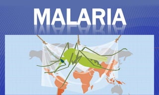 MALARIA
 