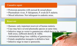• Protozoan parasites with asexual & sexual phase
• Plasmodium vivax, P. falciparum, P. ovale & P. malaria.
• Mixed infections: Not infrequent in endemic areas.
Causative agent
• Humans: only important reservoir of human malaria.
• Case may have several plasmodia species at same time.
• Infective stage to vector is gametocytes which have to be: mature,
both sexes, sufficient density & viable.
• Antimalarial drugs lose viability of gametocytes.
• Female anopheline mosquito is definitive host
• Infective stage to man is sporozoite.
Reservoir
 