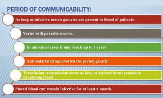 PERIOD OF COMMUNICABILITY:
As long as infective macro gametes are present in blood of patients.
Varies with parasite species.
In untreated cases it may reach up to 3 years
Antimalarial drugs shorten the period greatly.
Transfusion transmission occur as long as asexual forms remain in
circulating blood
Stored blood can remain infective for at least a month.
 