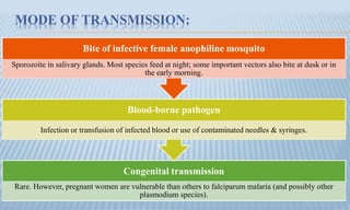 MODE OF TRANSMISSION:
Congenital transmission
Rare. However, pregnant women are vulnerable than others to falciparum malaria (and possibly other
plasmodium species).
Blood-borne pathogen
Infection or transfusion of infected blood or use of contaminated needles & syringes.
Bite of infective female anophiline mosquito
Sporozoite in salivary glands. Most species feed at night; some important vectors also bite at dusk or in
the early morning.
 
