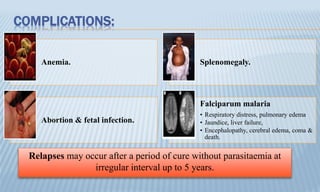 COMPLICATIONS:
Anemia. Splenomegaly.
Abortion & fetal infection.
Falciparum malaria
• Respiratory distress, pulmonary edema
• Jaundice, liver failure,
• Encephalopathy, cerebral edema, coma &
death.
Relapses may occur after a period of cure without parasitaemia at
irregular interval up to 5 years.
 