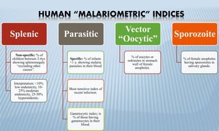HUMAN “MALARIOMETRIC” INDICES
Splenic
Non-specific: % of
children between 2-6ys
showing splenomegaly
“excluding other
causes”.
Interpretation: <10%
low endemicity, 10-
25% moderate
endemicity, 25-50%
hyperendemic.
Parasitic
Specific: % of infants
<1 y. showing malaria
parasites in their blood
Most sensitive index of
recent infection.
Gametocytic index; is
% of those having
gametocytes in their
blood.
Vector
“Oocytic”
% of oocytes or
ookinetes in stomach
wall of female
anopheles.
Sporozoite
% of female anopheles
having sporozoites in
salivary glands.
 