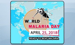 Arthropode infection