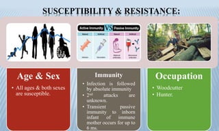 SUSCEPTIBILITY & RESISTANCE:
Age & Sex
• All ages & both sexes
are susceptible.
Immunity
• Infection is followed
by absolute immunity
• 2nd attacks are
unknown.
• Transient passive
immunity to inborn
infant of immune
mother occurs for up to
6 ms.
Occupation
• Woodcutter
• Hunter.
 