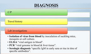 DIAGNOSIS
C/P
Travel history
• Isolation of virus from blood by inoculation of suckling mice,
mosquito or cell culture.
• ELISA “viral antigen in blood”.
• PCR “viral genome in blood & liver tissue”.
• Serologic diagnosis “specific IgM in early sera or rise in titre of
specific antibodies”.
Lab investigations
 