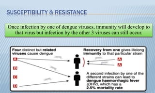 SUSCEPTIBILITY & RESISTANCE
Once infection by one of dengue viruses, immunity will develop to
that virus but infection by the other 3 viruses can still occur.
 