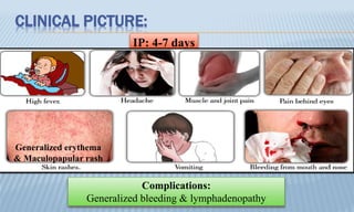 CLINICAL PICTURE:
IP: 4-7 days
Complications:
Generalized bleeding & lymphadenopathy
Generalized erythema
& Maculopapular rash
 