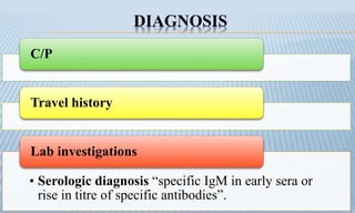 DIAGNOSIS
C/P
Travel history
• Serologic diagnosis “specific IgM in early sera or
rise in titre of specific antibodies”.
Lab investigations
 