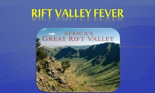 RIFT VALLEY FEVER
 