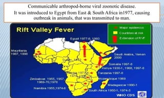 Communicable arthropod-borne viral zoonotic disease.
It was introduced to Egypt from East & South Africa in1977, causing
outbreak in animals, that was transmitted to man.
 