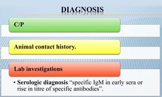DIAGNOSIS
C/P
Animal contact history.
• Serologic diagnosis “specific IgM in early sera or
rise in titre of specific antibodies”.
Lab investigations
 