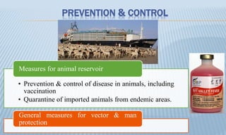 PREVENTION & CONTROL
• Prevention & control of disease in animals, including
vaccination
• Quarantine of imported animals from endemic areas.
Measures for animal reservoir
General measures for vector & man
protection
 