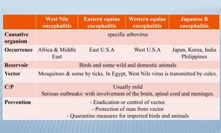 West Nile
encephalitis
Eastern equine
encephalitis
Western equine
encephalitis
Japanese B
encephalitis
Causative
organism
specific arbovirus
Occurrence Africa & Middle
East
East U.S.A West U.S.A Japan, Korea, India
Philippines
Reservoir Birds and some wild and domestic animals
Vector Mosquitoes & some by ticks. In Egypt, West Nile virus is transmitted by culex.
C/P Usually mild
Serious outbreaks: with involvement of the brain, spinal cord and meninges.
Prevention - Eradication or control of vector.
- Protection of man from vector
- Quarantine measures for imported birds and animals
 