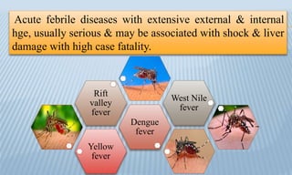 Acute febrile diseases with extensive external & internal
hge, usually serious & may be associated with shock & liver
damage with high case fatality.
Yellow
fever
Dengue
fever
Rift
valley
fever
West Nile
fever
 