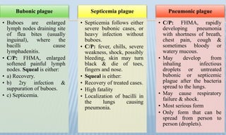 Bubonic plague
• Buboes are enlarged
lymph nodes draining site
of flea bites (usually
inguinal), where the
bacilli cause
lymphadenitis.
• C/P: FHMA, enlarged
softened painful lymph
nodes. Squeal is either:
• a) Recovery.
• b) 2ry infection &
suppuration of buboes.
• c) Septicemia.
Septicemia plague
• Septicemia follows either
severe bubonic cases, or
heavy infection without
buboes.
• C/P: fever, chills, severe
weakness, shock, possibly
bleeding, skin may turn
black & die of toes,
fingers and nose.
• Squeal is either:
• Recovery of treated cases.
• High fatality
• Localization of bacilli in
the lungs causing
pneumonia.
Pneumonic plague
• C/P: FHMA, rapidly
developing pneumonia
with shortness of breath,
chest pain, cough &
sometimes bloody or
watery mucous.
• May develop from
inhaling infectious
droplets or untreated
bubonic or septicemic
plague after the bacteria
spread to the lungs.
• May cause respiratory
failure & shock.
• Most serious form
• Only form that can be
spread from person to
person (droplets).
 