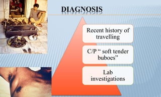 DIAGNOSIS
Recent history of
travelling
C/P “ soft tender
buboes”
Lab
investigations
 