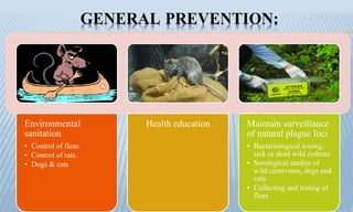 GENERAL PREVENTION:
Environmental
sanitation
• Control of fleas.
• Control of rats.
• Dogs & cats
Health education Maintain surveillance
of natural plague foci
• Bacteriological testing:
sick or dead wild rodents
• Serological studies of
wild carnivores, dogs and
cats.
• Collecting and testing of
fleas
 