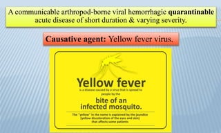 A communicable arthropod-borne viral hemorrhagic quarantinable
acute disease of short duration & varying severity.
Causative agent: Yellow fever virus.
 
