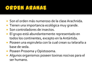  Son el orden más numeroso de la clase Arachnida.
 Tienen una importancia ecológica muy grande.
 Son controladores de insectos.
 El grupo está abundantemente representado en
  todos los continentes, excepto en la Antártida.
 Poseen una espiruleta con la cual crean su telaraña a
  base de seda.
 Poseen Prosoma y Opistosoma.
 Algunos organismos poseen toxinas nocivas para el
  ser humano.
 