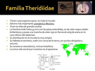    Tienen 2200 especies aprox. en todo el mundo.
   Género más importante Latrodectus Mactans.
   Viven en telas de grandes arañas.
   La hembra mide hasta 35 mm con las patas extendidas, es de color negro carbón
    brillantesco y posee una mancha de color rojo en forma de reloj de arena en la
    cara inferior del abdomen.
   Su distribución en el mundo es muy amplia.
   Su hábitat es terrestre, suele vivir cerca de la tierra y en puntos abrigados y
    oscuros.
   Su veneno es neurotóxico, incluso histolitico
   La única vida social que muestran es al aparearse.
 