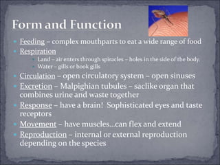  Feeding – complex mouthparts to eat a wide range of food
 Respiration
 Land – air enters through spiracles – holes in the side of the body.
 Water – gills or book gills
 Circulation – open circulatory system – open sinuses
 Excretion – Malpighian tubules – saclike organ that
combines urine and waste together
 Response – have a brain! Sophisticated eyes and taste
receptors
 Movement – have muscles…can flex and extend
 Reproduction – internal or external reproduction
depending on the species
 