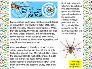 Arthropod PowerPoint that is really cool | PPTX