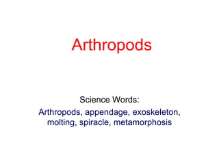   Arthropods Science Words: Arthropods, appendage, exoskeleton, molting, spiracle, metamorphosis 