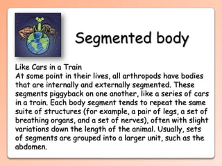 Segmented Body Def Arthropods | PPTX