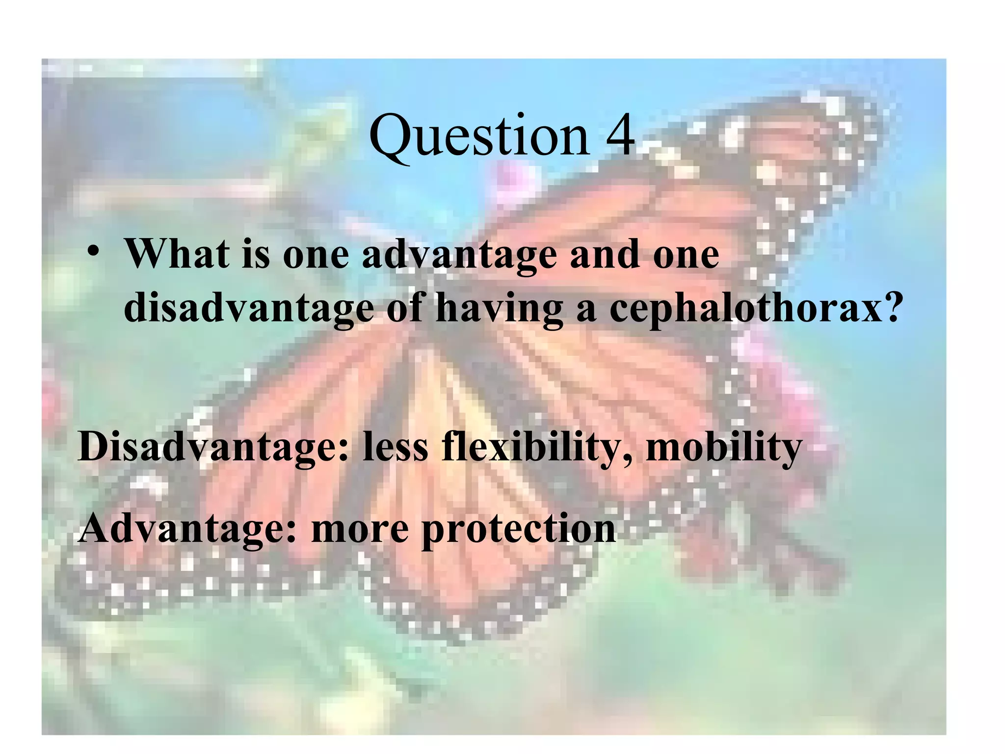 Question 4
• What is one advantage and one
  disadvantage of having a cephalothorax?


Disadvantage: less flexibility, mobility
Advantage: more protection
 