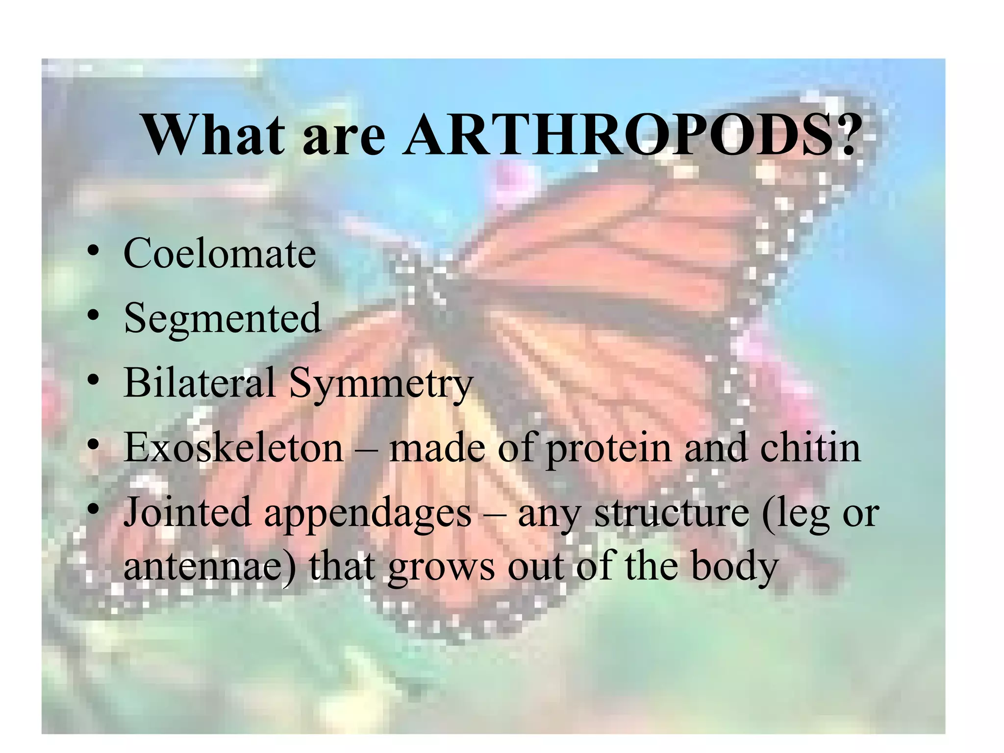 What are ARTHROPODS?
•   Coelomate
•   Segmented
•   Bilateral Symmetry
•   Exoskeleton – made of protein and chitin
•   Jointed appendages – any structure (leg or
    antennae) that grows out of the body
 