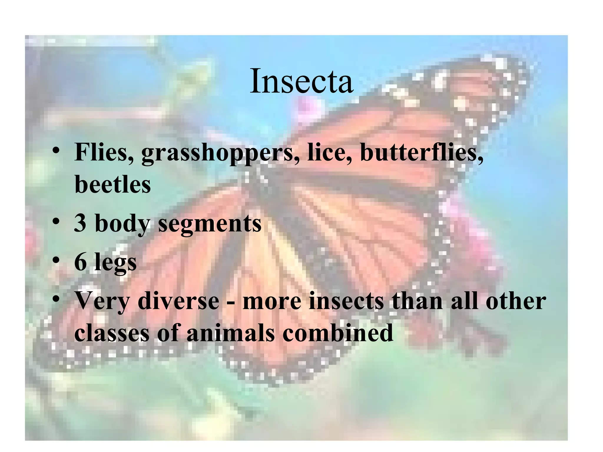Insecta
• Flies, grasshoppers, lice, butterflies,
  beetles
• 3 body segments
• 6 legs
• Very diverse - more insects than all other
  classes of animals combined
 
