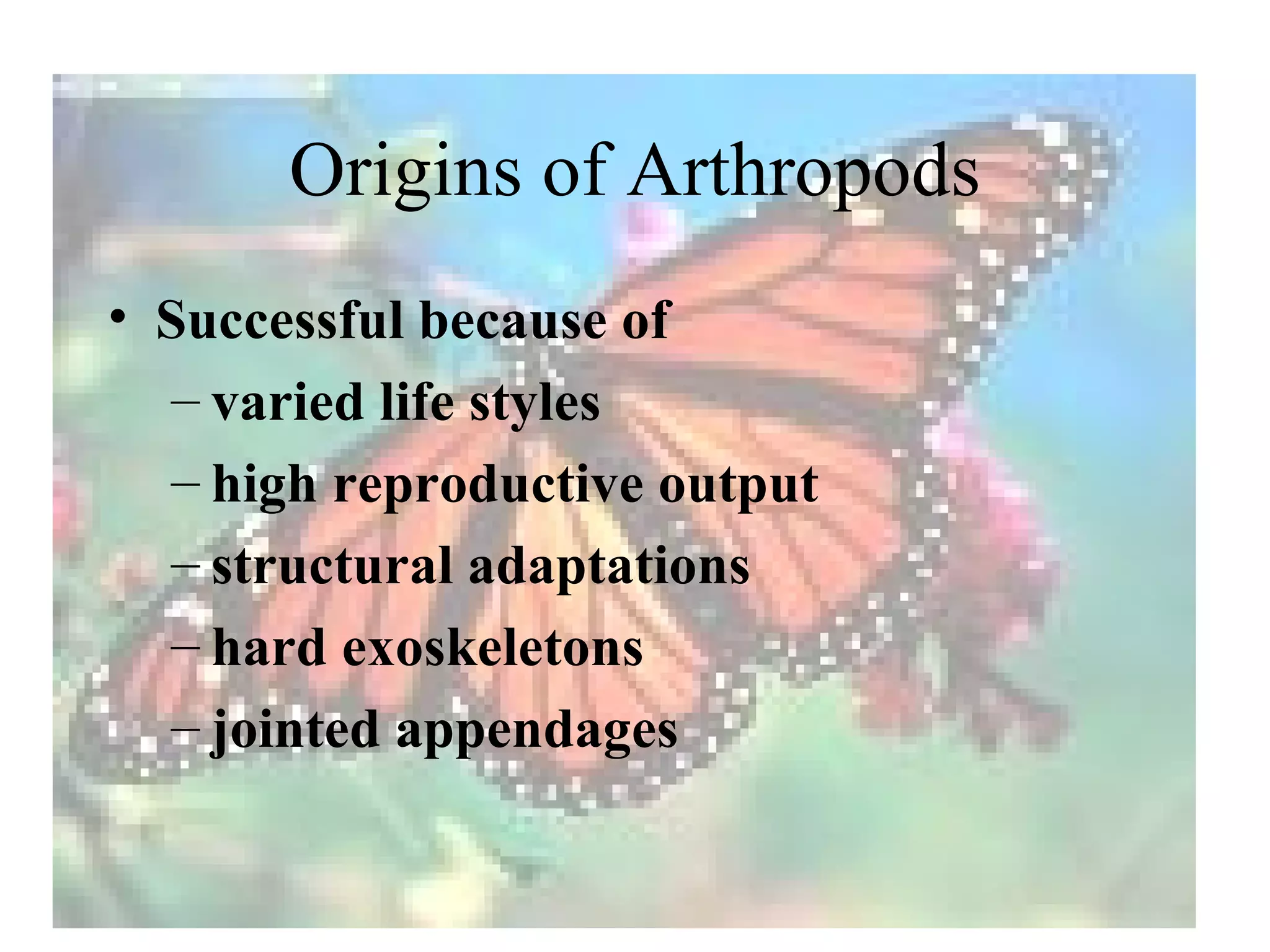 Origins of Arthropods
• Successful because of
   – varied life styles
   – high reproductive output
   – structural adaptations
   – hard exoskeletons
   – jointed appendages
 