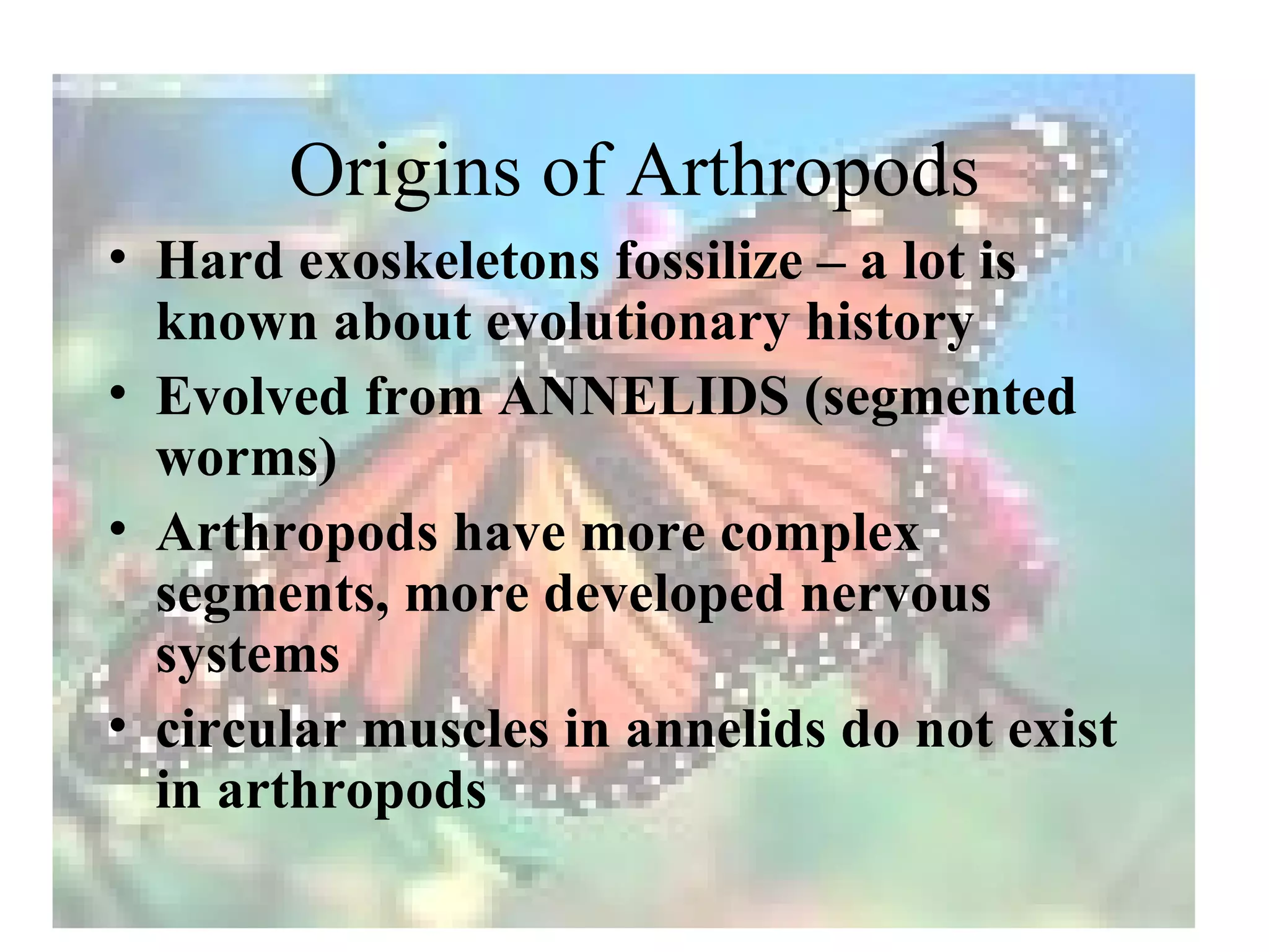 Origins of Arthropods
• Hard exoskeletons fossilize – a lot is
  known about evolutionary history
• Evolved from ANNELIDS (segmented
  worms)
• Arthropods have more complex
  segments, more developed nervous
  systems
• circular muscles in annelids do not exist
  in arthropods
 